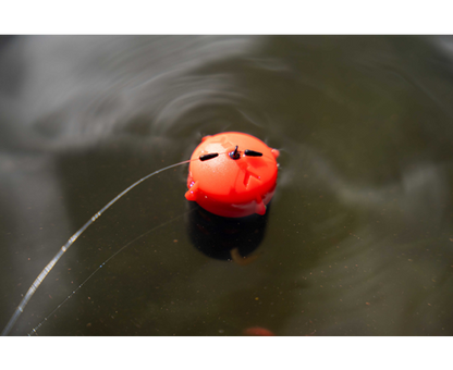 Floating Feeder